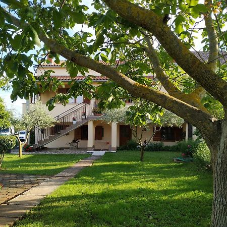 Apartment Dado Poreč Zewnętrze zdjęcie